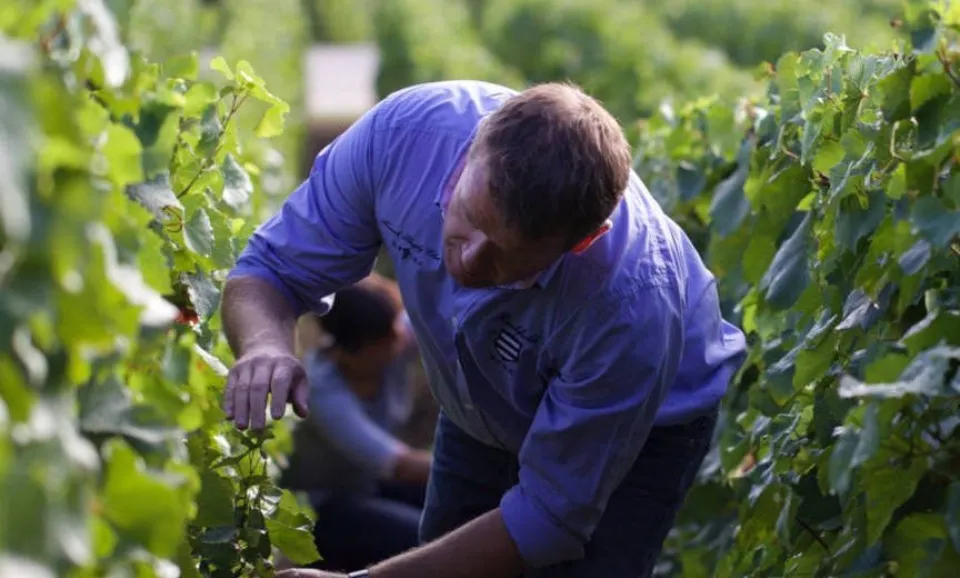 Tour & Proeverij van 4 cuvées