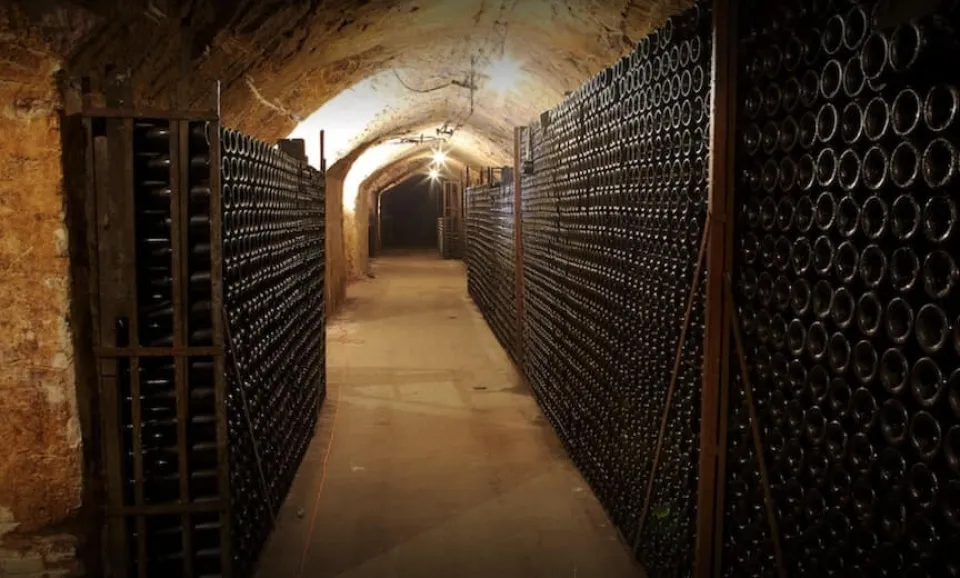 Visite et dégustation