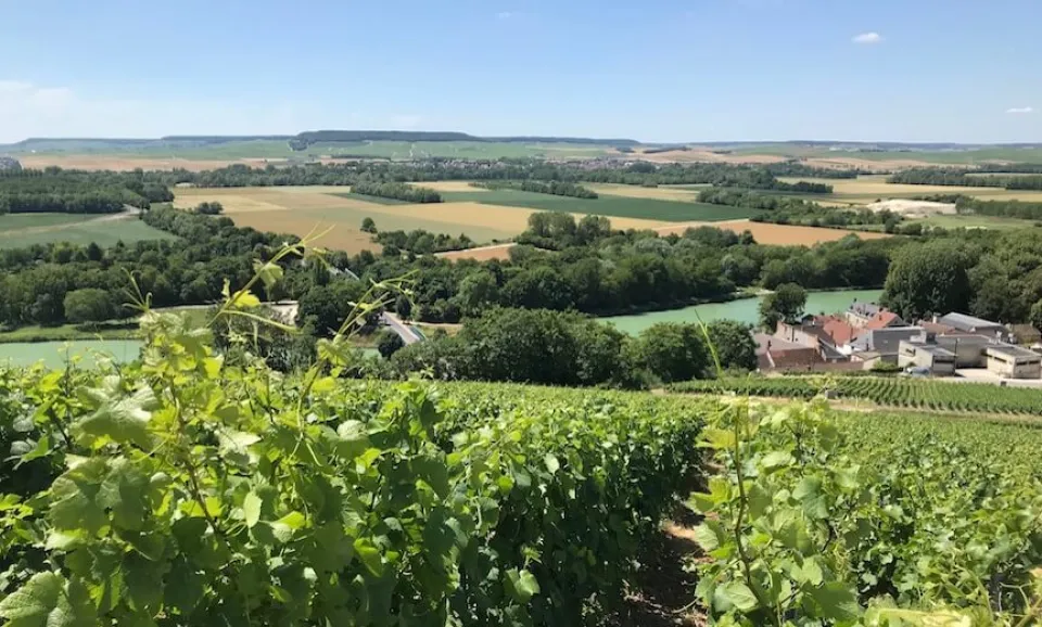 From Epernay: Les Connaisseurs Private Tour (Half-Day – 3.5 hours)