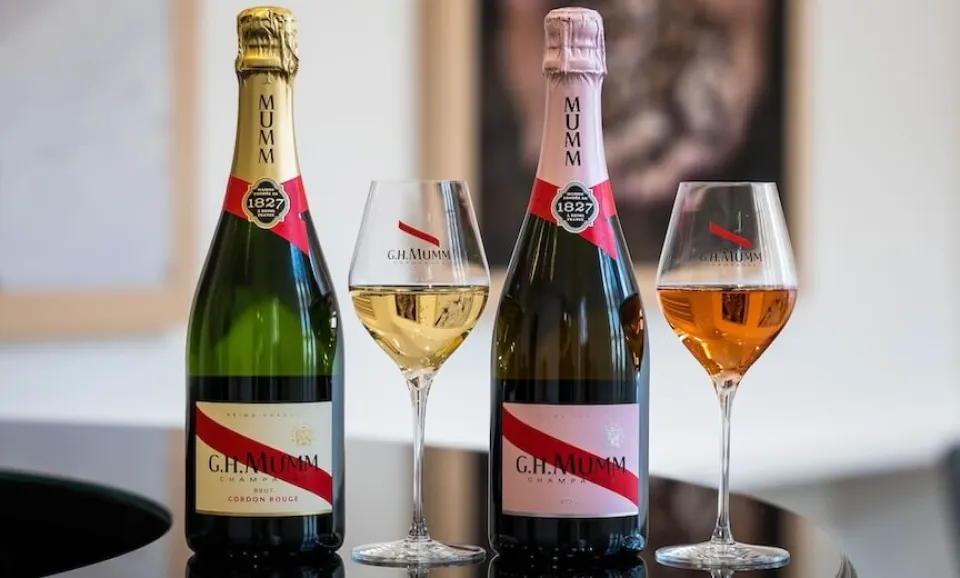 Celebration of the Pinot Noir (English guided Tour)