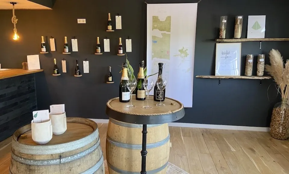 No 1 - Tasting of 3 Champagnes