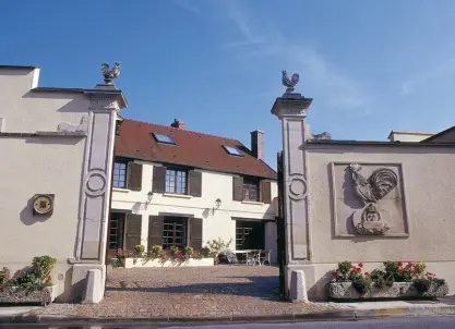 Champagne Paul Louis Martin à Bouzy - Dégustation