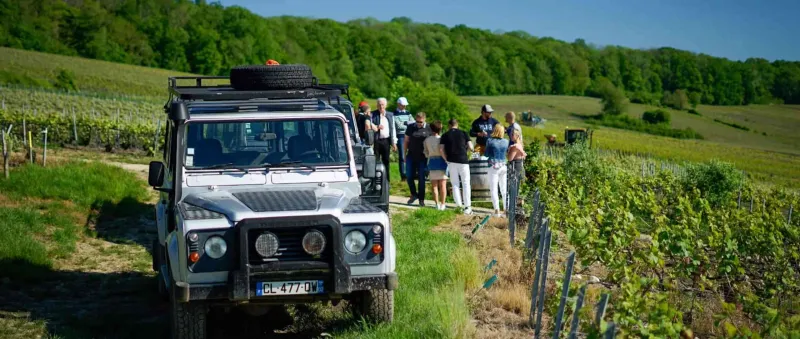 Champagne DOMAINE MALLET