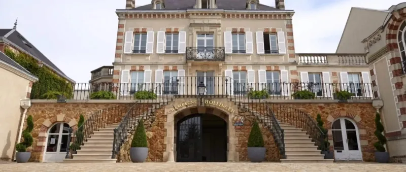 Champagne Bollinger (Ay)