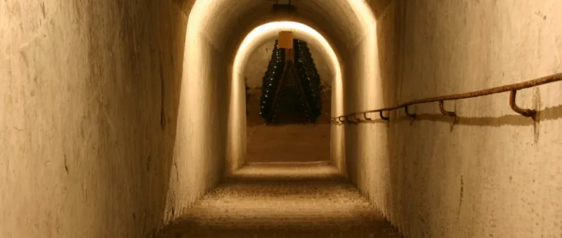 Champagne Jacquinot & Fils