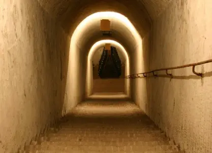 Champagne Jacquinot Fils (Epernay) - Visite de cave