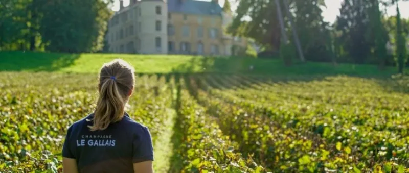 Champagne Le Gallais