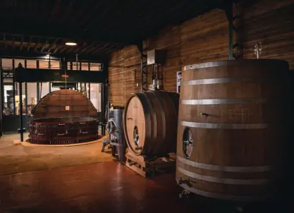 Champagne Michel Fagot - Tour & proeverij