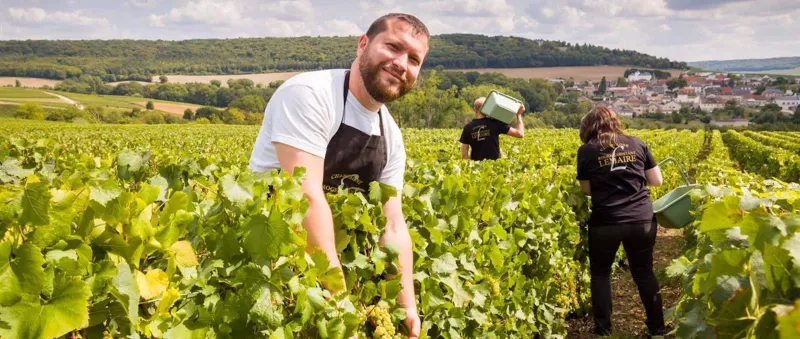 Champagne Roger-Constant Lemaire