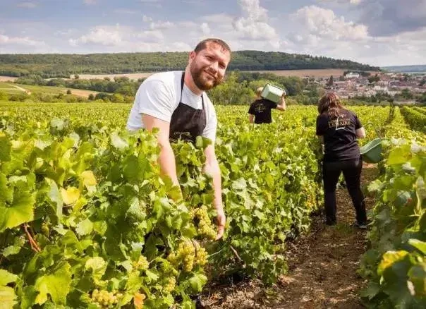 Roger-Constant Lemaire Champagne - Tour &amp; proeverij