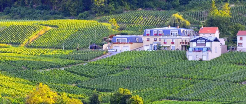 Champagne Voirin-Jumel