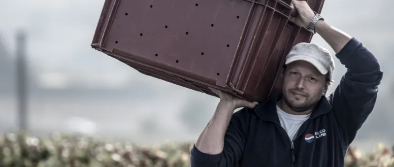 Champagne Alain Mercier