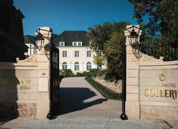 Champagne Collery in Ay - Picnic & tasting