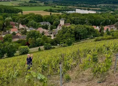 Visite Champagne Durdon-Bouval - Domaine certifié biologique