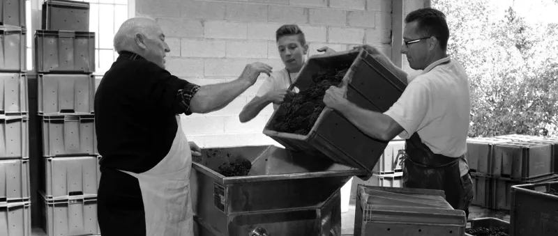 Champagne Michel Tixier