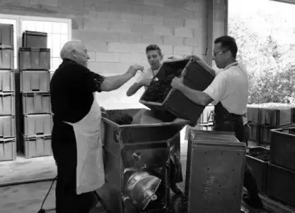 Champagne Michel Tixier, Chigny-les-Roses - Book your visit