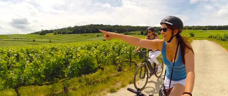 E-bike Vineyard Tours