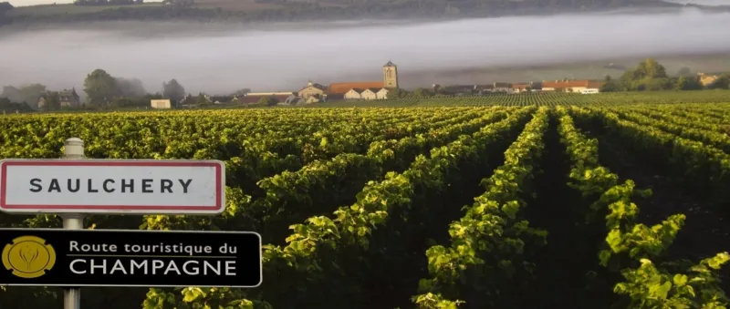 Champagne Pierre Laurent