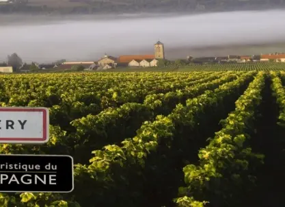 Champagne Pierre Laurent - Tour, tasting & tickets 2020