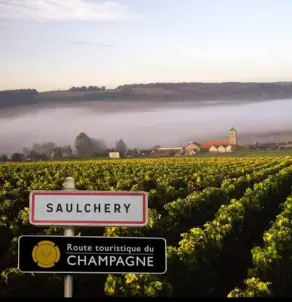 Champagne Pierre Laurent (Saulchery) - Visite de cave