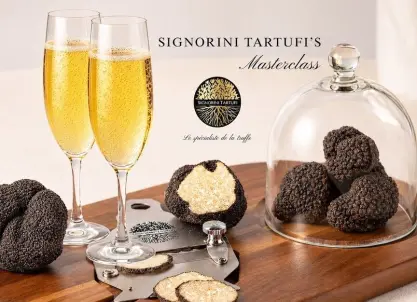 Signorini Tartufi, Reims - Champagne & truffel