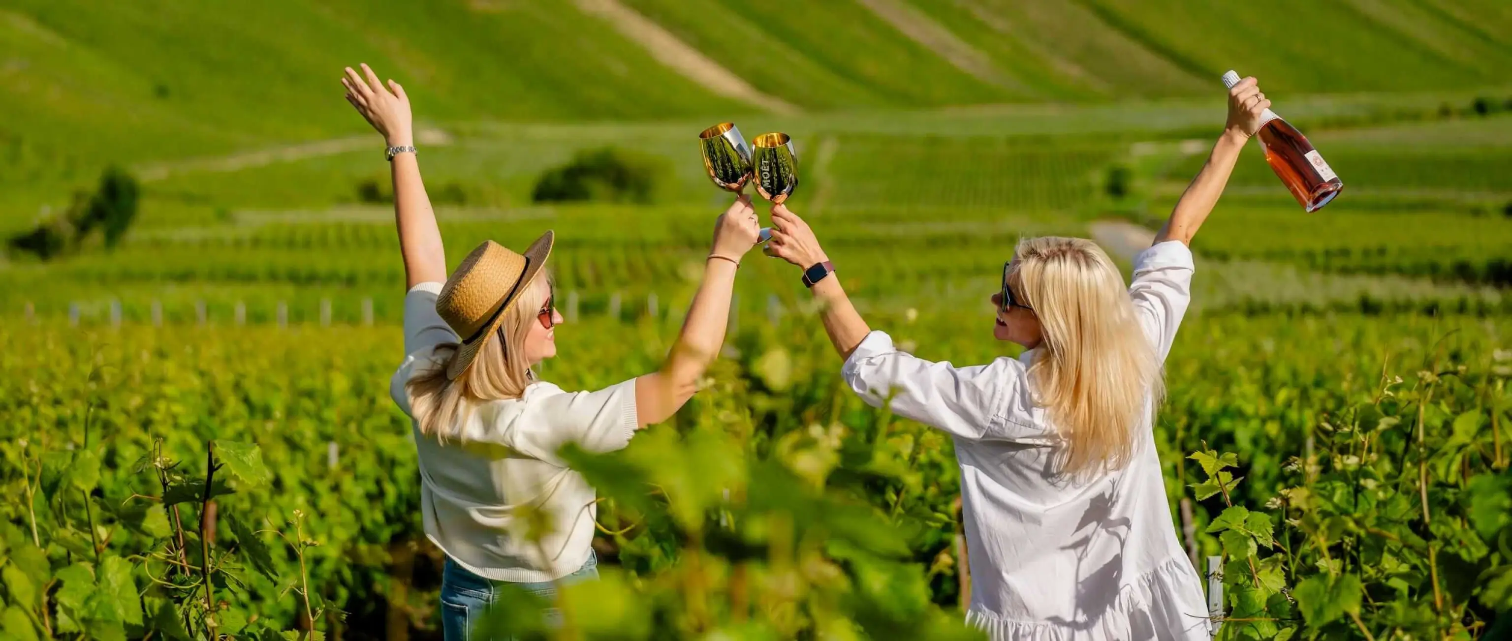 Vanuit Reims/Epernay: Champagne dagtour in Hautvillers