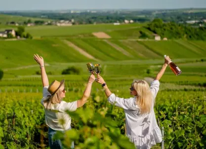 Vanuit Reims / Epernay: Champagne dagtour in Hautvillers