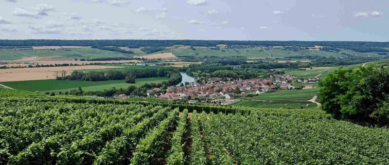 Vanuit Reims/Epernay: Champagne dagtour in Hautvillers