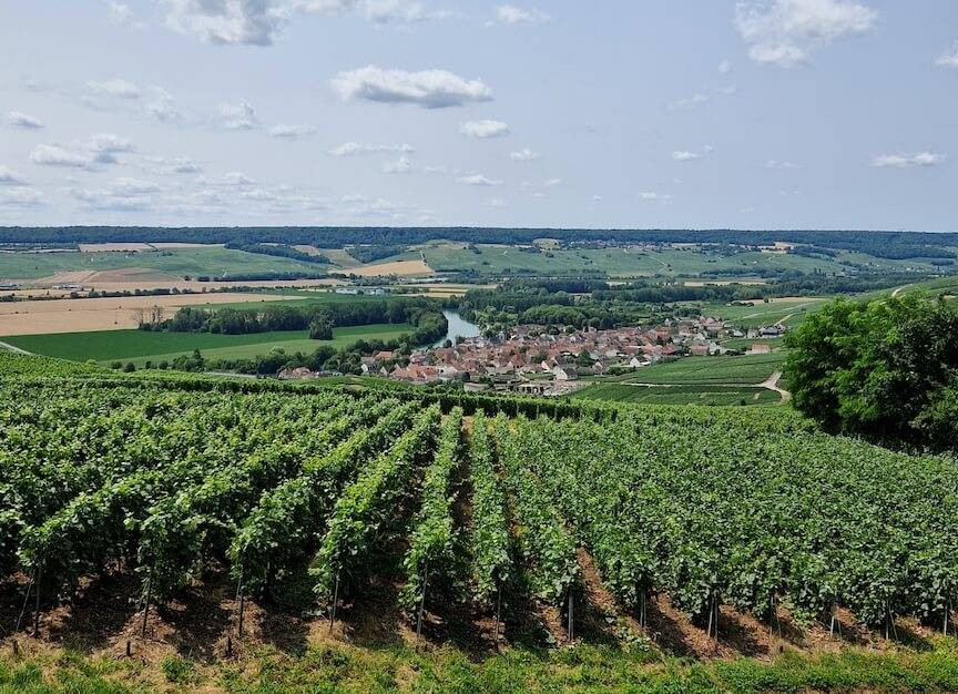 Vanuit Reims / Epernay: Champagne dagtour in Hautvillers