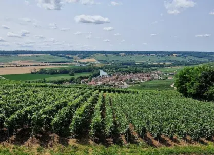 Vanuit Reims / Epernay: Champagne dagtour in Hautvillers