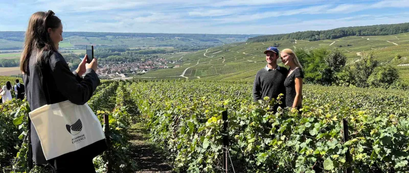 Vanuit Epernay: Exclusieve privé Champagne Tour