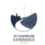 From Reims/Epernay: Exclusive private Champagne Tour