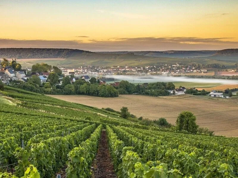 Les Bulles de Bonheur