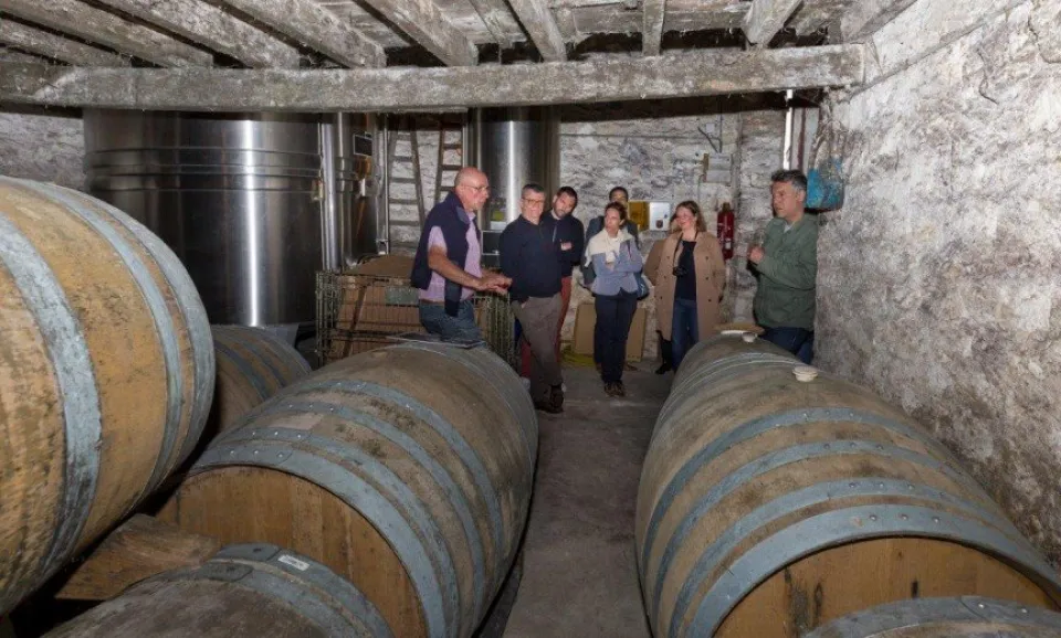 Cellar Tour & Tasting (English guided)