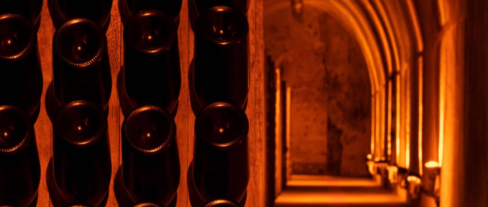 Grand Cru Experience (English guided Tour) - Mumm Reims