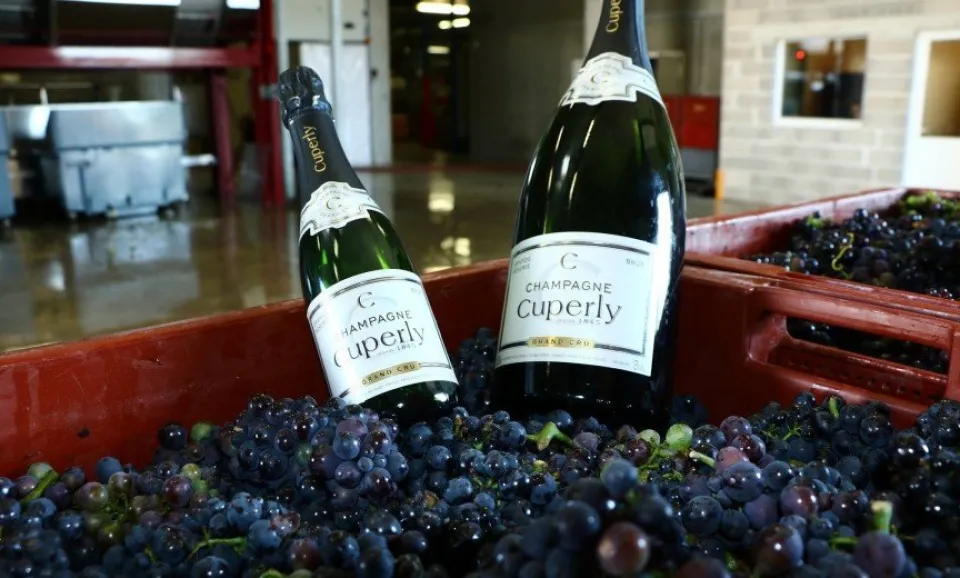 Visite et dégustation de 1 Champagne