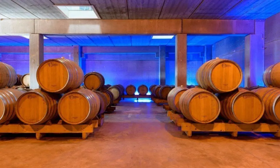 Visite et dégustation de 2 Champagnes