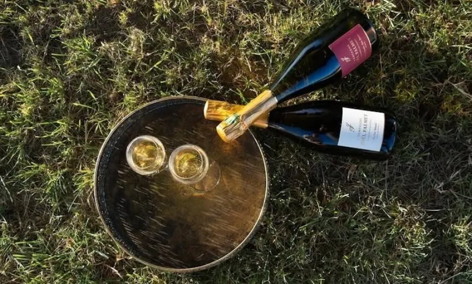 Tour & tasting of 2 Champagnes