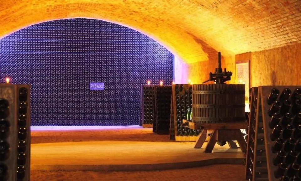 Visite et dégustation en cave et au château (anglais)