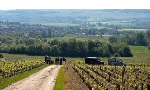 Jeep Tour wijngaarden en proeverij stille wijn + 1 Champagne