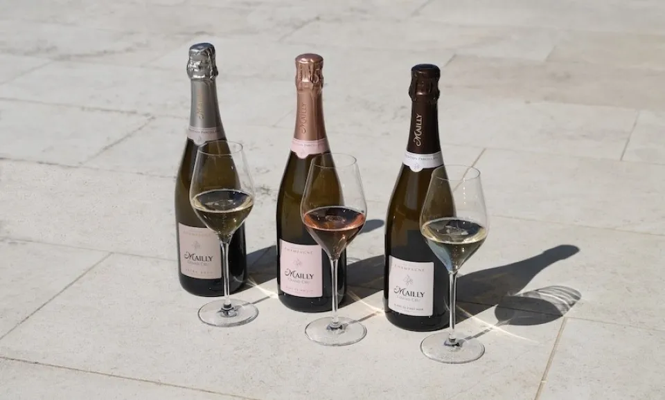 Parcellaire - Dégustation de Champagne