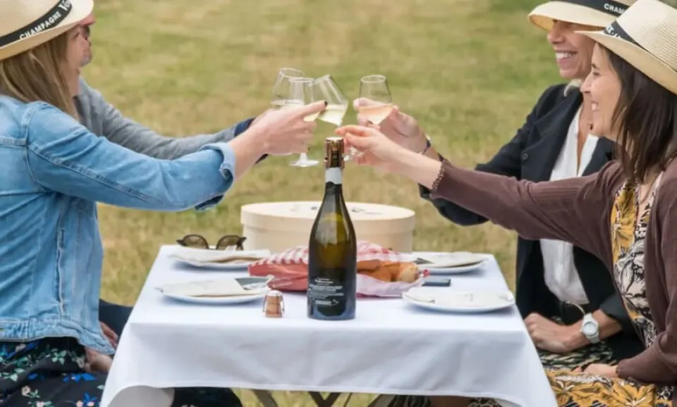 Picknick in de wijngaard (Engelstalig)