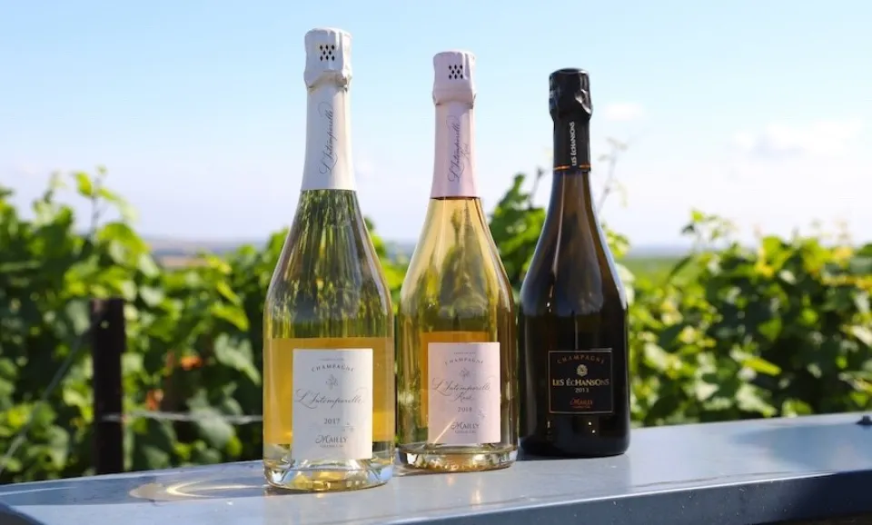 Prestige - Dégustation de Champagne