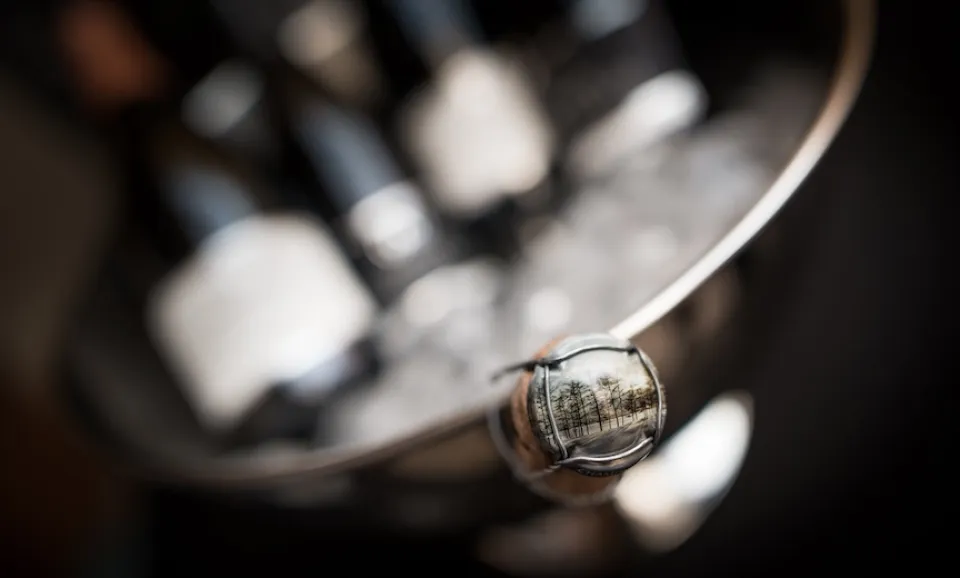 Privé bezoek + proeverij 4 champagnes