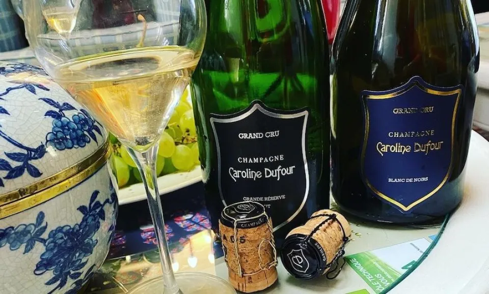 Tasting of 2 cuvées