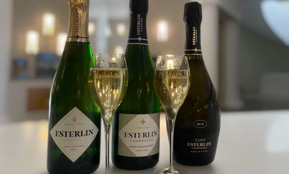 Tasting "Blanc de Blancs"