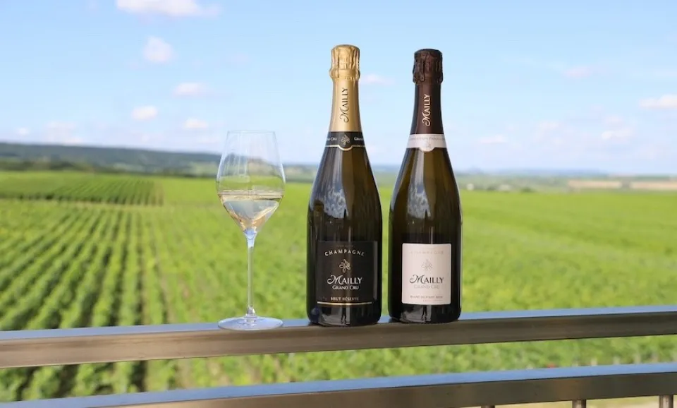 Découverte - Dégustation de Champagne