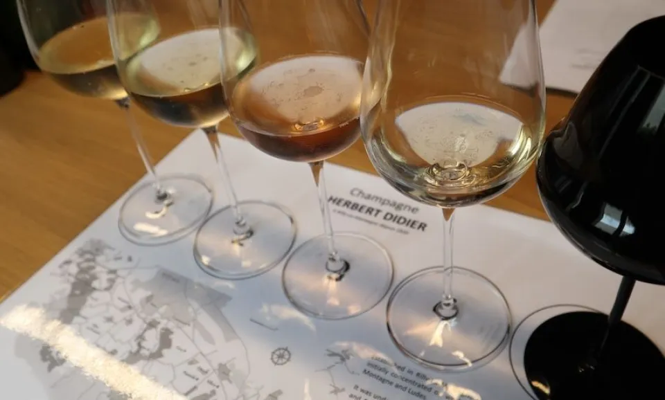 Proeverij van 5 Champagnes (Engelstalig)