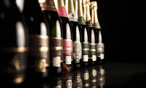 Visite et Dégustation 3 Champagnes Premium