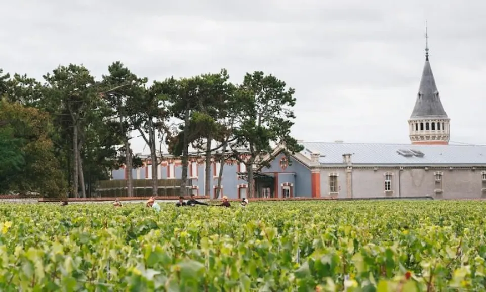 Van de wijngaard tot het glas (Engelstalige Tour)